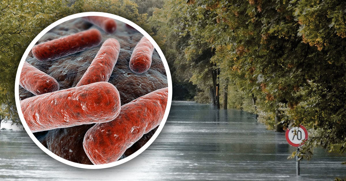 Texas Woman Killed by FleshEating Bacteria in Floodwaters